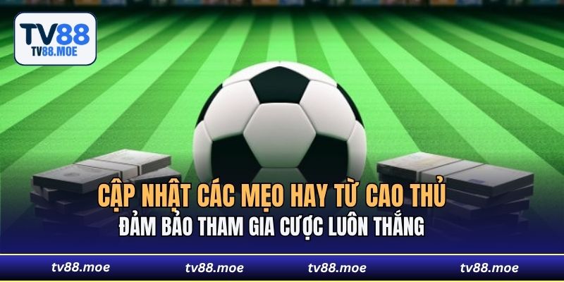 Cập nhật các mẹo hay từ cao thủ đảm bảo tham gia cược luôn thắng